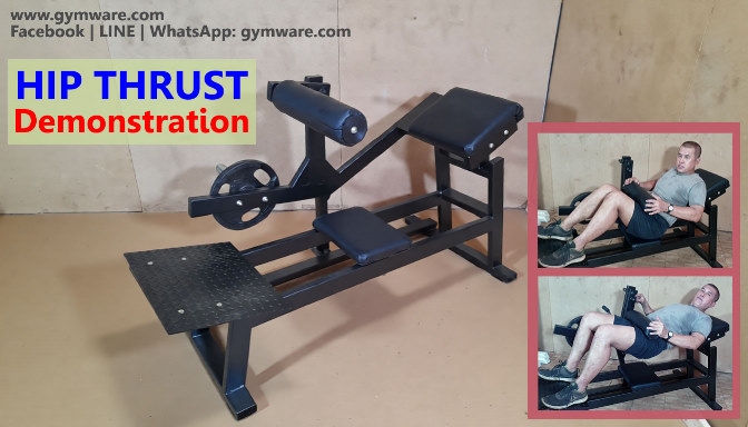 Hip Thrust 