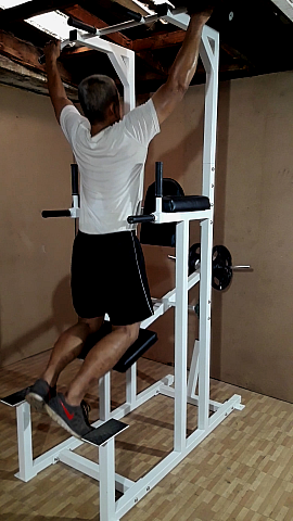 assisted pull-up/dip, pull-ups